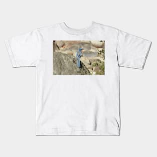 California scrub jay, birds, wildlife, gifts, nature, Graceful Blue Kids T-Shirt